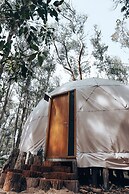 Big Bang Nature Stays