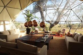 Big Bang Nature Stays