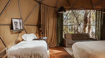 Big Bang Nature Stays