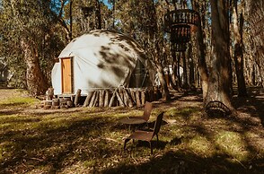 Big Bang Nature Stays