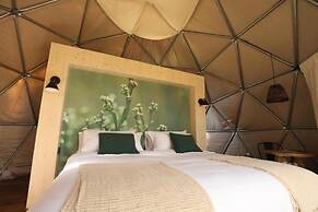 Big Bang Nature Stays