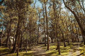 Big Bang Nature Stays