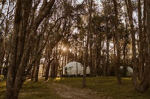 Big Bang Nature Stays