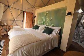 Big Bang Nature Stays