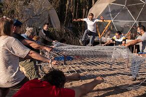 Big Bang Nature Stays