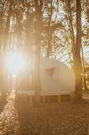 Big Bang Nature Stays