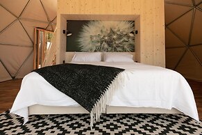 Big Bang Nature Stays