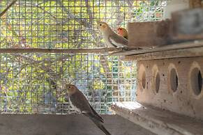 Trullo Paan in Ostuni