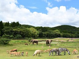 REDONDO  AKIYOSHIDAI