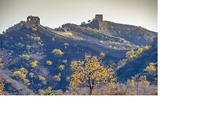 beijingjuxianjuminsu