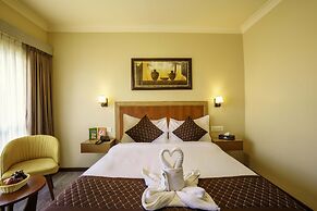 Q Saina's Mapham Darjeeling