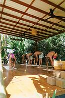 Dream Surf House Santa Teresa