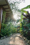 Dream Surf House Santa Teresa