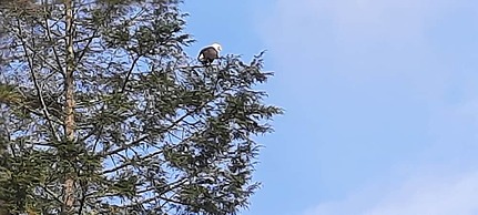 Pocono Dog-Friendly Home on River