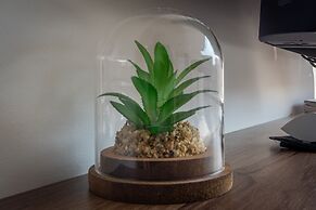 Capital by Wynwood House