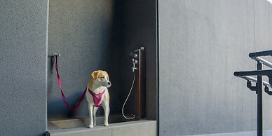 RakutenSTAY FUJIMITERRACE HakoneAshinoko