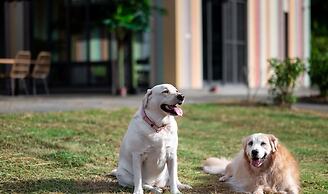 Pet Rainbow Maison Resort Hotel