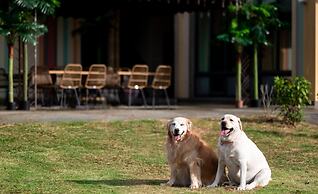 Pet Rainbow Maison Resort Hotel