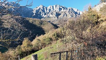 Picos de Europa Suites and Rooms