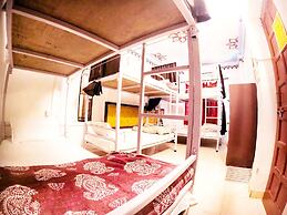 Jungle by sturmfrei Udaipur