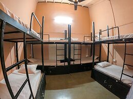 Jungle by sturmfrei Gokarna