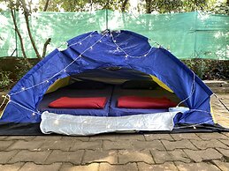 Jungle by sturmfrei Gokarna