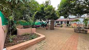 Jungle by sturmfrei Gokarna