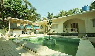 Fabexpress The Olive Turtle Homes