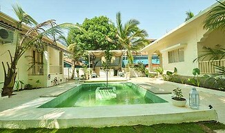 Fabexpress The Olive Turtle Homes