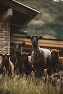 Monte Sião Château