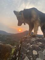 Monte Sião Château