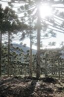 Monte Sião Château