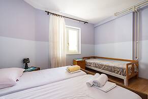 Cozy Apartment Branka With Nice Garden 6