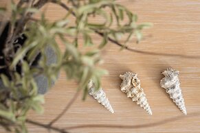 8MOONS BOUTIQUE APARTMENTS