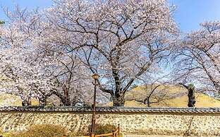 Gyeongju H Avenue Hotel Bulguksa