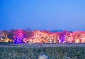 Gyeongju H Avenue Hotel Bulguksa