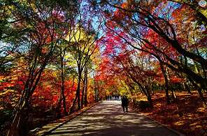 Gyeongju H Avenue Hotel Bulguksa