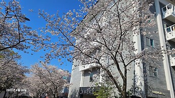 Gyeongju H Avenue Hotel Bulguksa