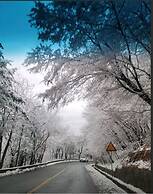 Gyeongju H Avenue Hotel Bulguksa