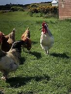 Captivating 2-bed Static Caravan on Private Land