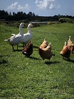 Captivating 2-bed Static Caravan on Private Land