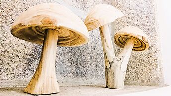 Lagarto Pintado Casa n'Aldeia