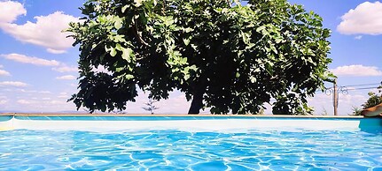 Lagarto Pintado Casa n'Aldeia