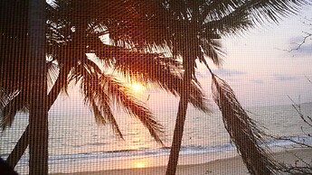 Résidence Tropicale