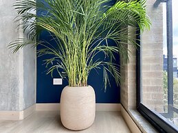 Canvas by Wynwood House