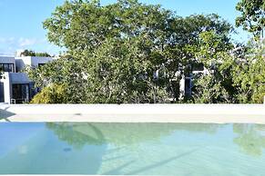 Seremonia Selva by The Spot Rentals