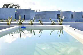 Seremonia Selva by The Spot Rentals