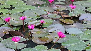 Fairy Mountain Retreat