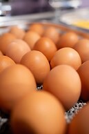 Prize by Radisson, Dresden Mitte