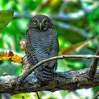 Namaste Bardiya Resort